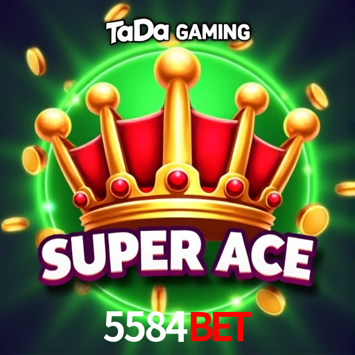 Interface Premium 5584bet
